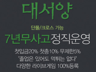 대서양 dsy707.com