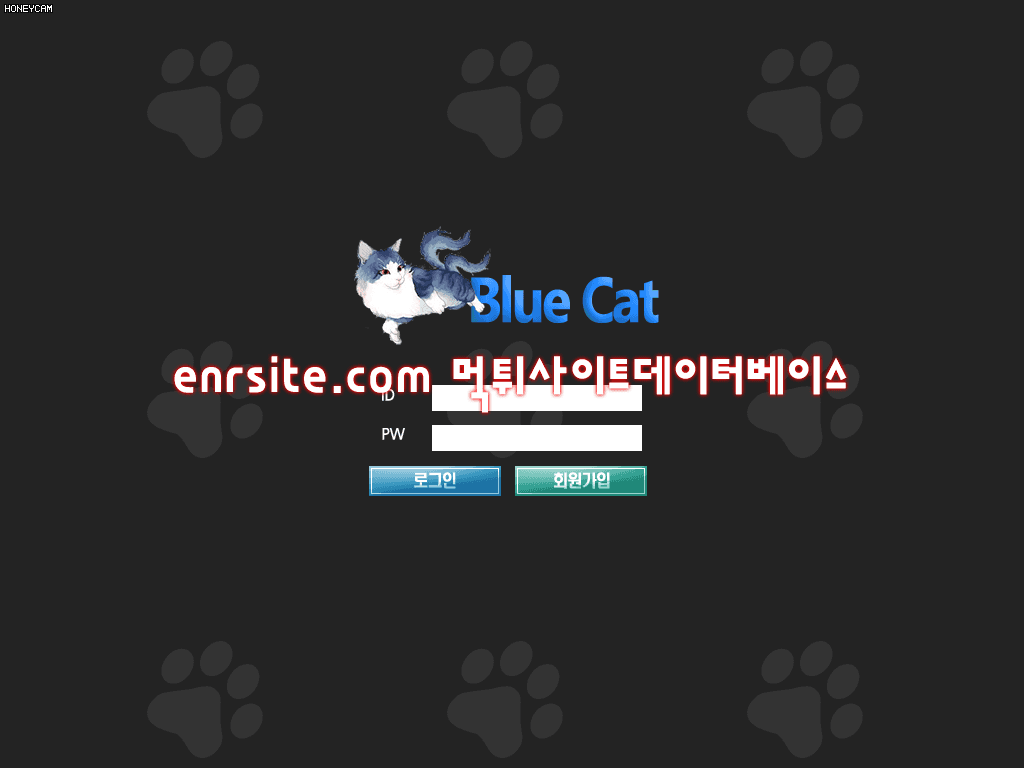 블루캣(BLUECAT) bcat-wwe.com