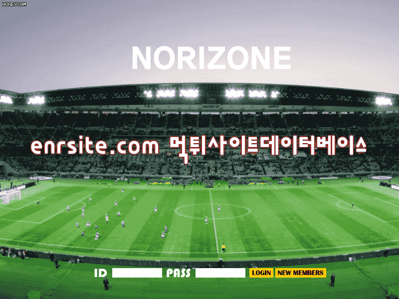 노리존(NORIZONE) zone-vv.com