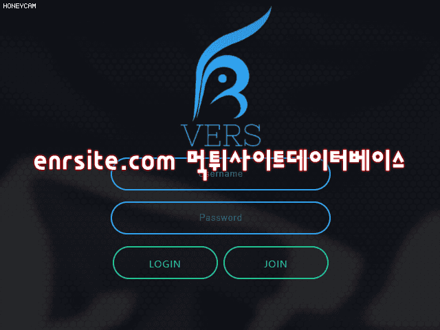 벌스(VERS) vers100.com