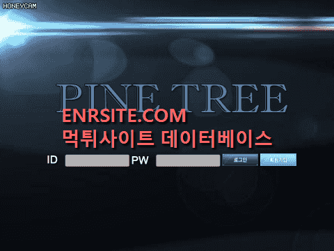 파인트리(PINETREE) pn-569.com