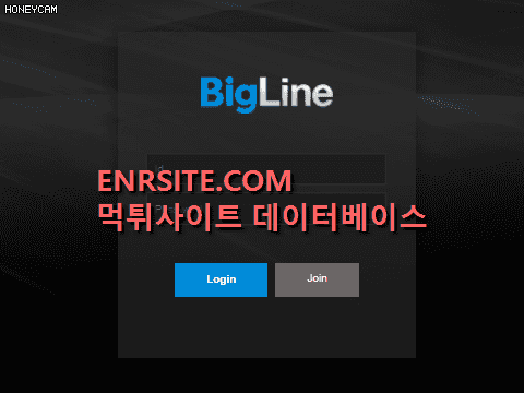 빅라인(BIGLINE) big-1st.com