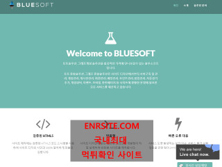 블루소프트 submitkorea.com