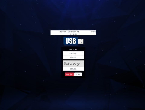 유에스비.USB.2