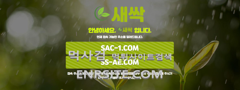 새싹