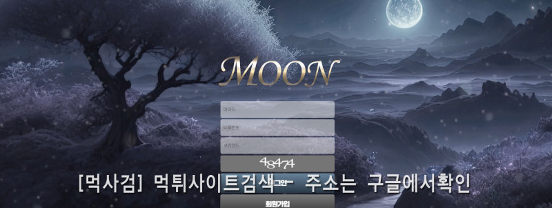 문 moon