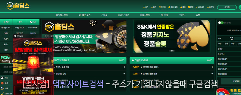 에스앤케이홀딩스