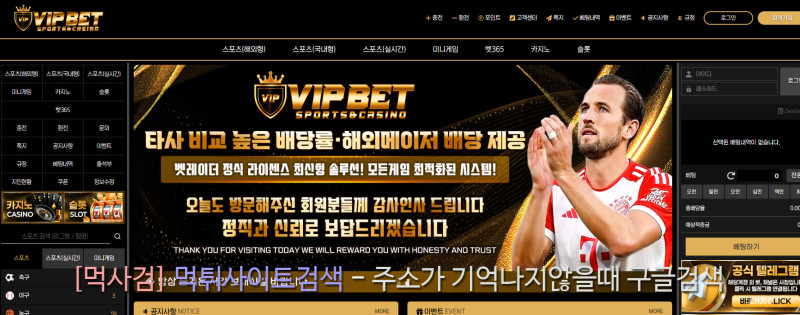 브이아이피벳.com vipbet